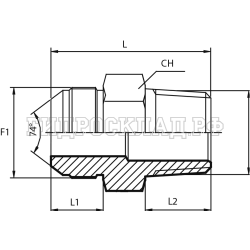 Адаптер  JIC(ш) 1.1/16" - BSPT(ш) 1" (Vitillo SPA)