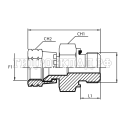 Адаптер  JIC(г) 1.7/8" - BSPP(ш) 1.1/2" Form E (Vitillo SPA)