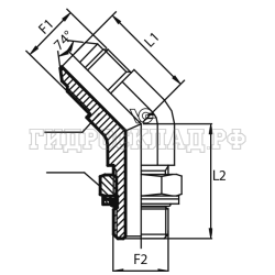 Адаптер 45° JIC(ш) 1/2" - BSPP(ш) 1/8" o.r.+ контргайка (Vitillo SPA)