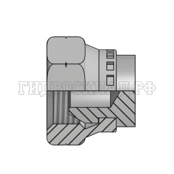 Заглушка DK(г) 12X1.5 sv60° (Китай)