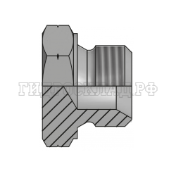 Заглушка DK(ш) 12X1.5 sv60° (Китай)