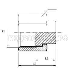 Заглушка ORFS(г) 1" (Китай)