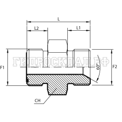 Адаптер ORFS(ш) 1.3/16" - BSP(ш) 3/4" SV 60° (Китай)