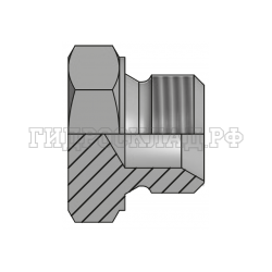 Заглушка BSP(ш) 1/8" sv60° (Китай)