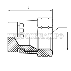 Заглушка JIC(г) 1/2" (Китай)