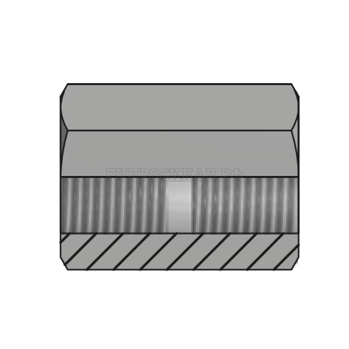 Адаптер BSPP(F) 2" - BSPP(F) 2" L=54 (муфта) (Vitillo SPA)