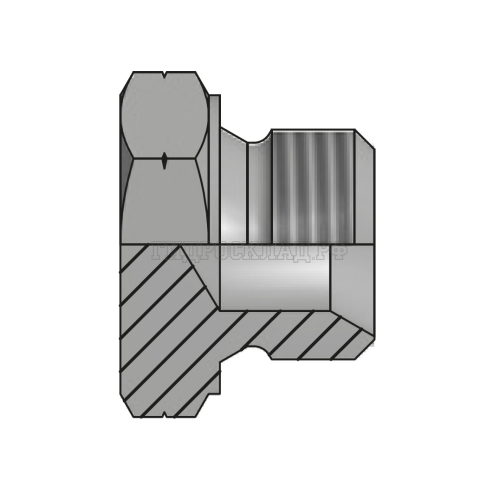 Заглушка DK(ш) 26X1.5 sv60° (Vitillo SPA)