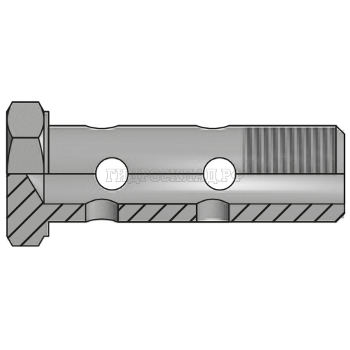 Болт BANJOx2(BSP) 1.1/4" (Vitillo SPA)