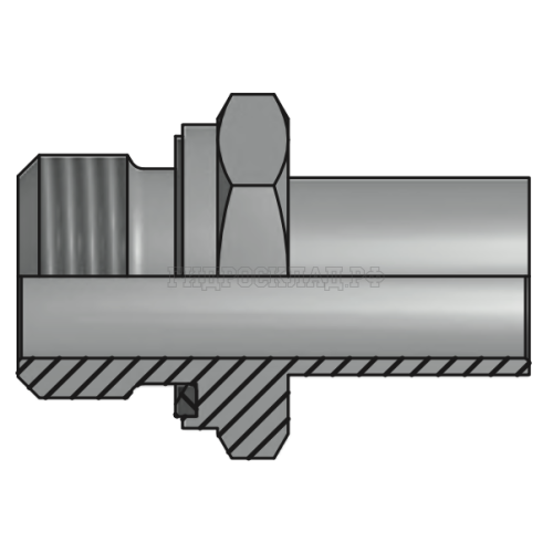 Адаптер PIPE P=25 - BSPP 1" Form E (Vitillo SPA)