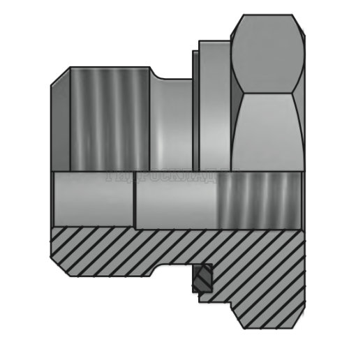 Адаптер BSPP(ш) 1.1/2" - BSP(F) 1.1/4" Form E (Vitillo SPA)