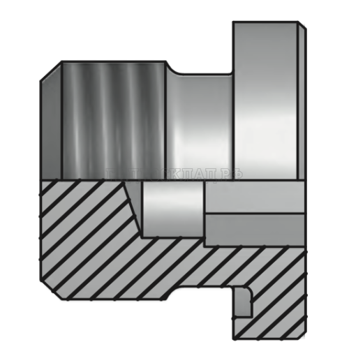 Заглушка BSPP 1.1/2"(ш) SW=27 Form E (Vitillo SPA)