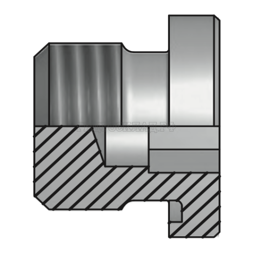 Заглушка Metric 42x2(ш) SW=22 FormE (Vitillo SPA)