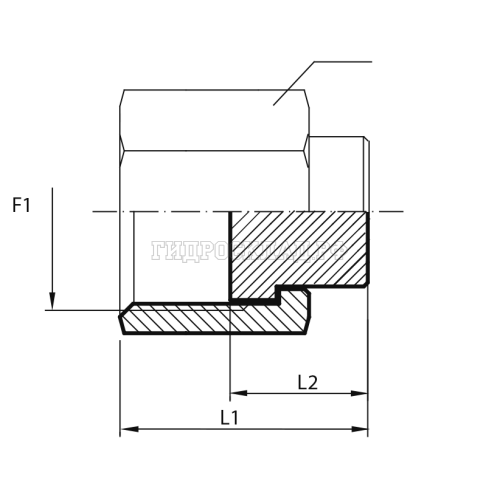 Заглушка ORFS(г) 1" (Китай)