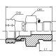 Адаптер  JIC(г) 1.1/16" - BSPP(ш) 1" Form E (Vitillo SPA)