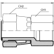 Адаптер ORFS(г) 2" - BSPP(F) 1/4" (Vitillo SPA)