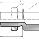 Адаптер ORFS(ш) 2" - BSPP(F) 1.1/2" проходной (Vitillo SPA)