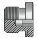 Заглушка BSPP 1"(ш) SW=17 Form E (RASTELLI  RACCORDI s.r.l.)